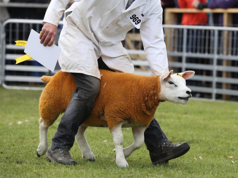 %Cleaning Janitorial Services in Lagos %