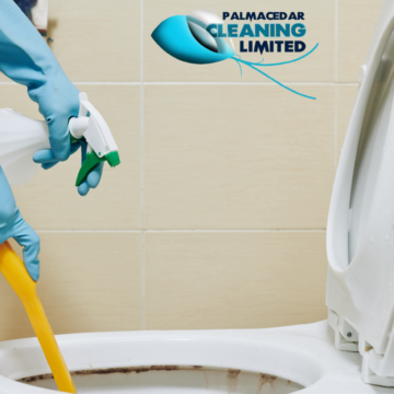 Janitorial Company in Lagos | Cleaning Services Company in Lagos Nigeria 