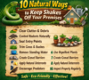 10 Natural Ways to Keep Snakes Off Your Premises