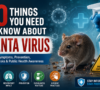 10 Things You Need to Know About Hanta Virus