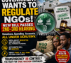 NGO MONEY UNDER GOVERNMENT WATCH: What Nigeria’s New Foreign Aid Bill Could Mean for Donations, Spending and Accountability